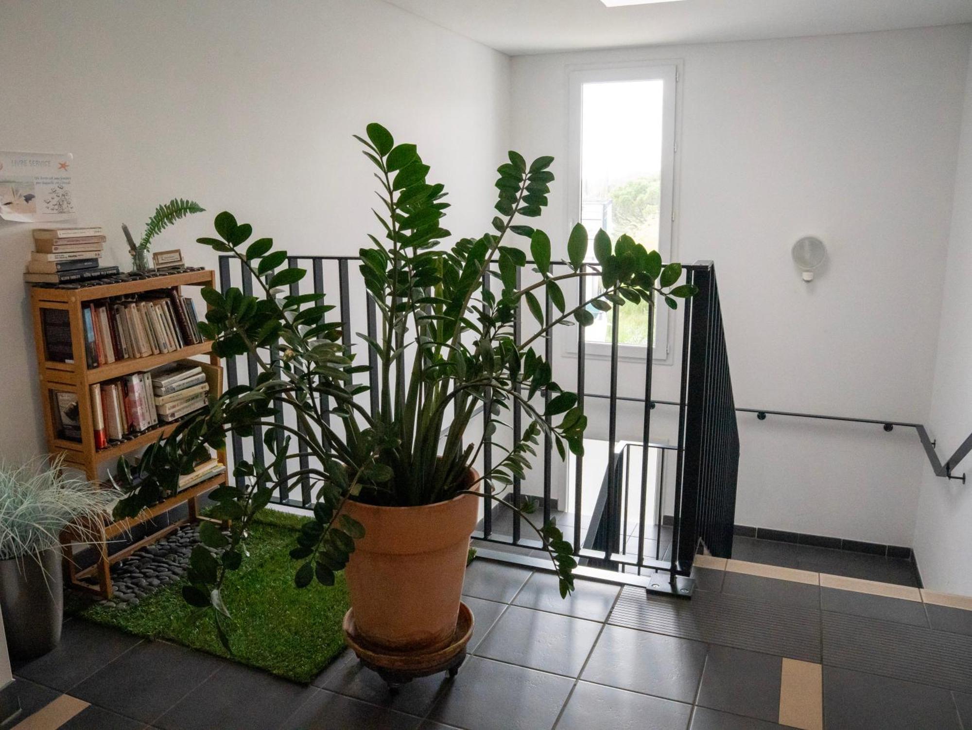 Appartement de L'Espiguette Le Grau-du-Roi Extérieur photo